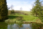 The Grounds